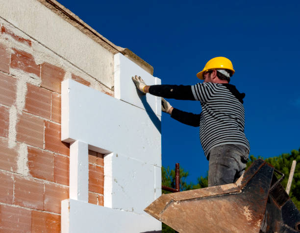 Best Energy-efficient Insulation  in Lake Catherine, IL