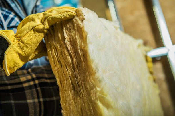 Best Best Insulation Companies  in Lake Catherine, IL