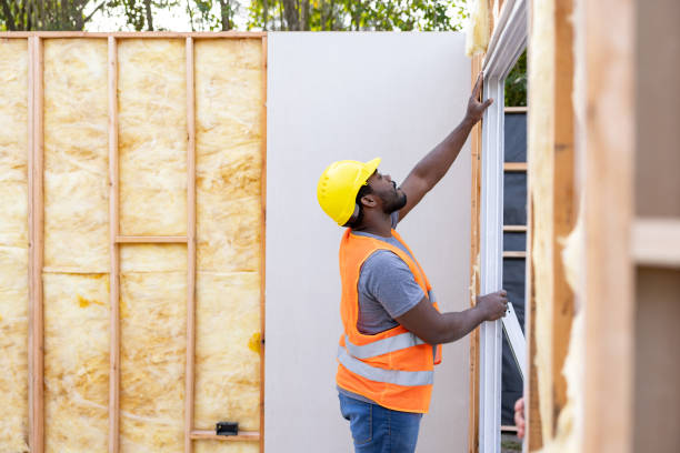 Best Blown-in Insulation  in Lake Catherine, IL