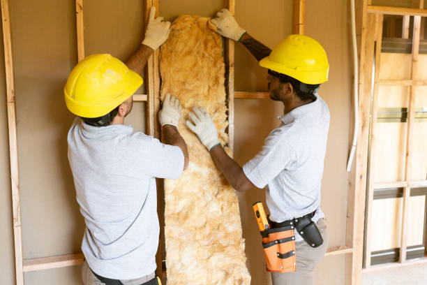 Best Home Insulation Services  in Lake Catherine, IL