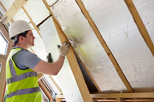 Best Insulation Contractors for Homes  in Lake Catherine, IL