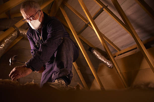 Best Attic Insulation Installation  in Lake Catherine, IL